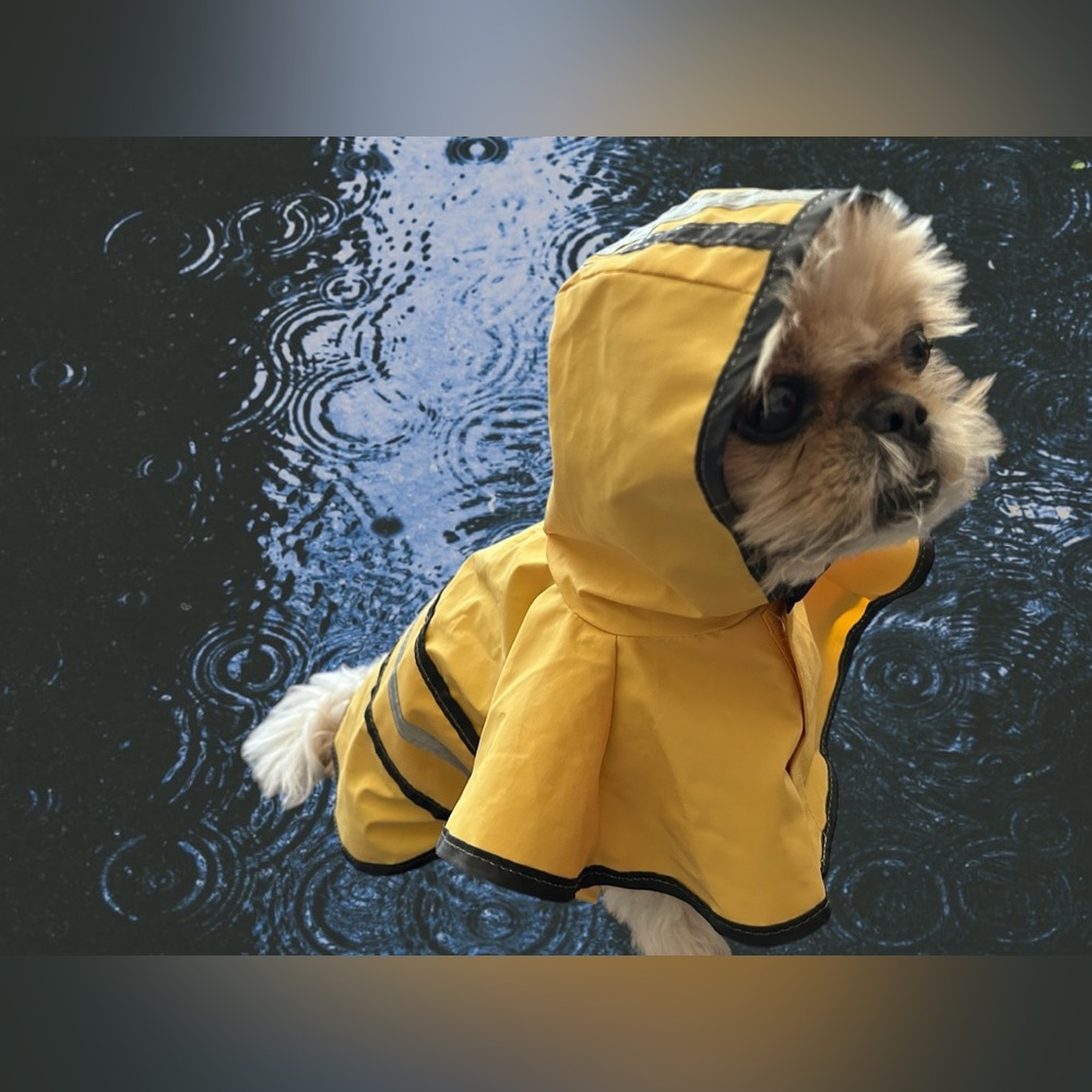 Yellow Waterproof Dog Rain Poncho with Hood - Brand: